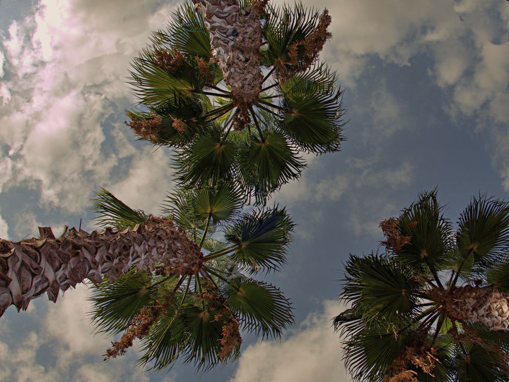 Photograph by Lev Tsenter