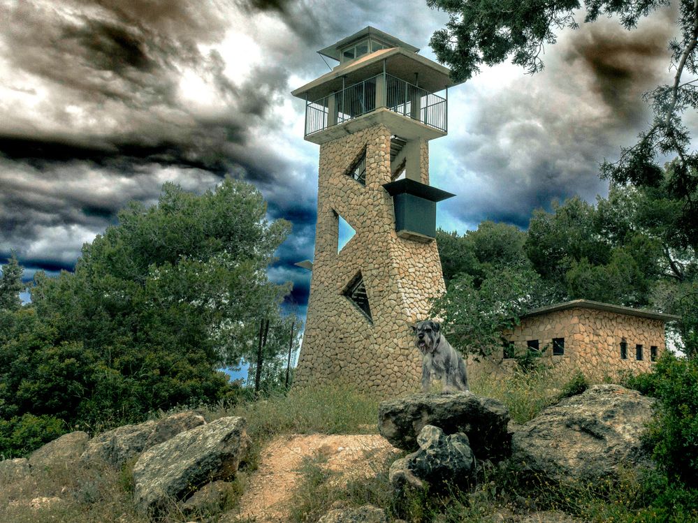 Photograph by Lev Tsenter