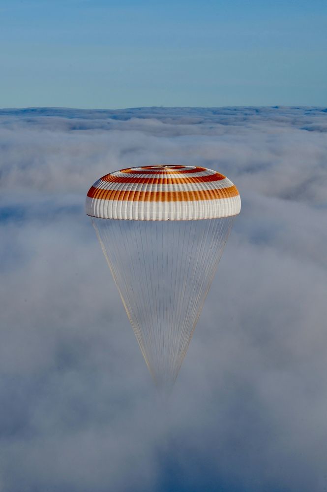 Парящие под куполом