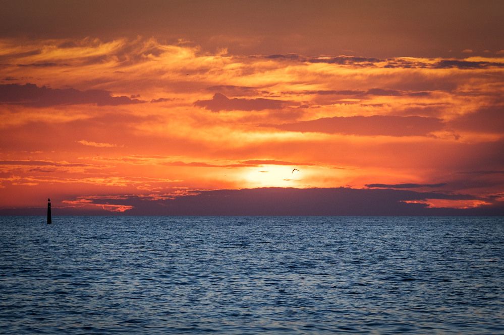 Photograph by Екатерина Рябинина