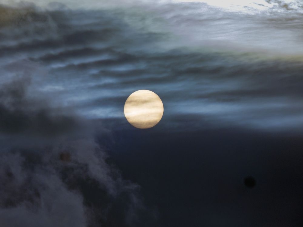 Photograph by Lev Tsenter