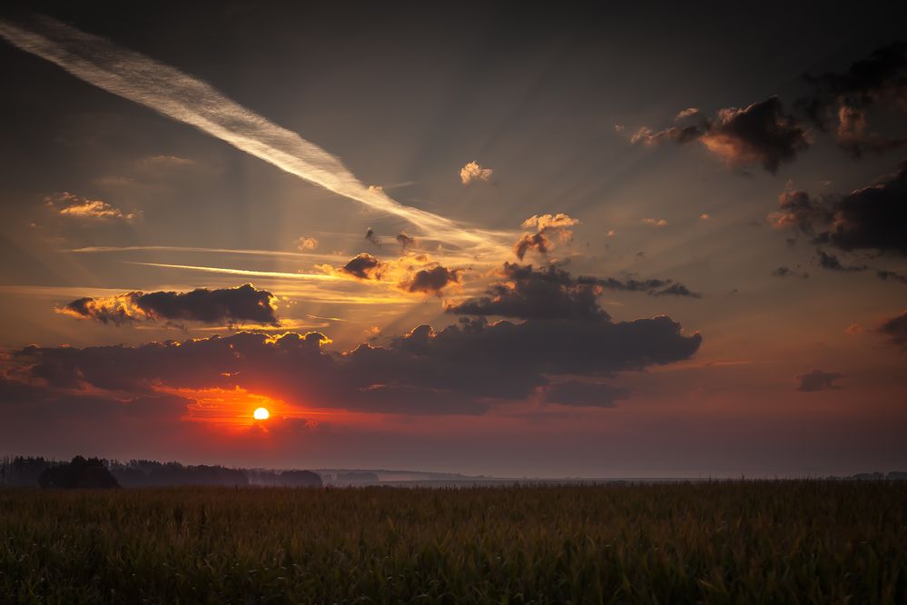 Photograph by Наталия Викторовна