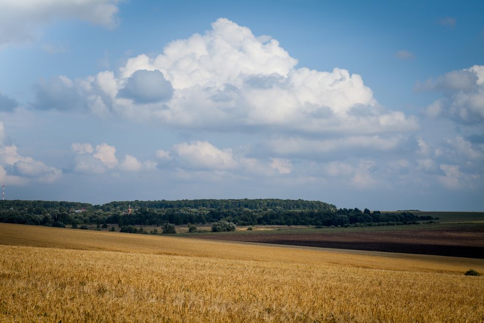 Photograph by Наталия Викторовна