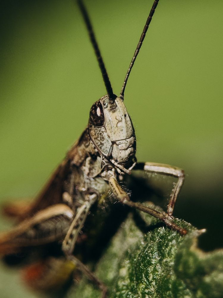 Photograph by Алиса Нежинская