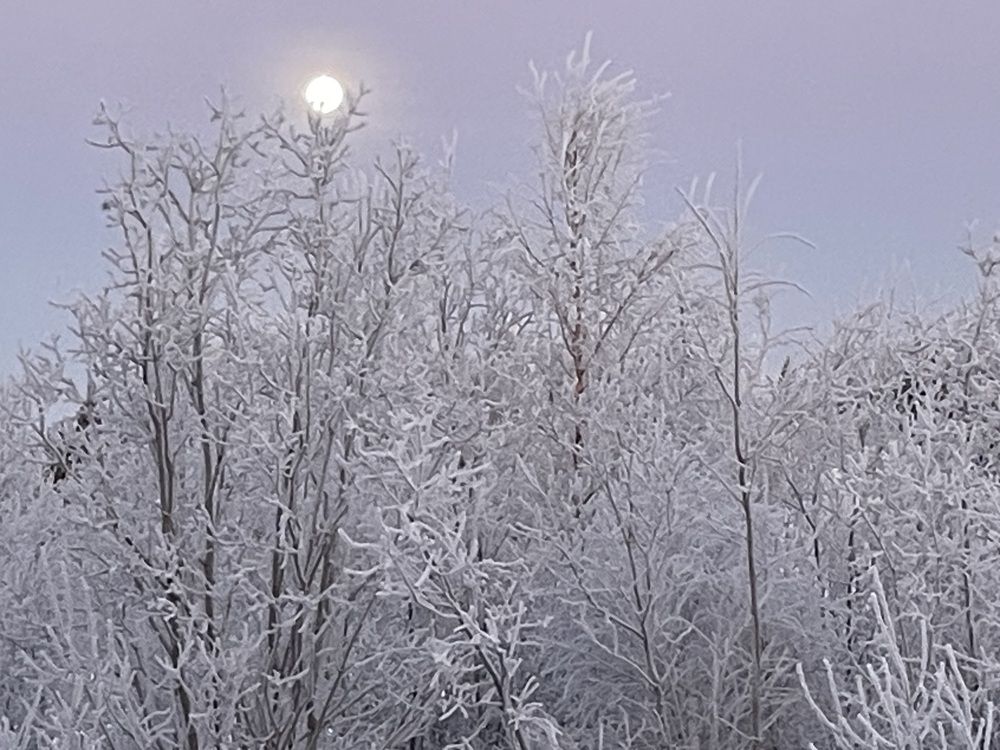 Photograph by марина