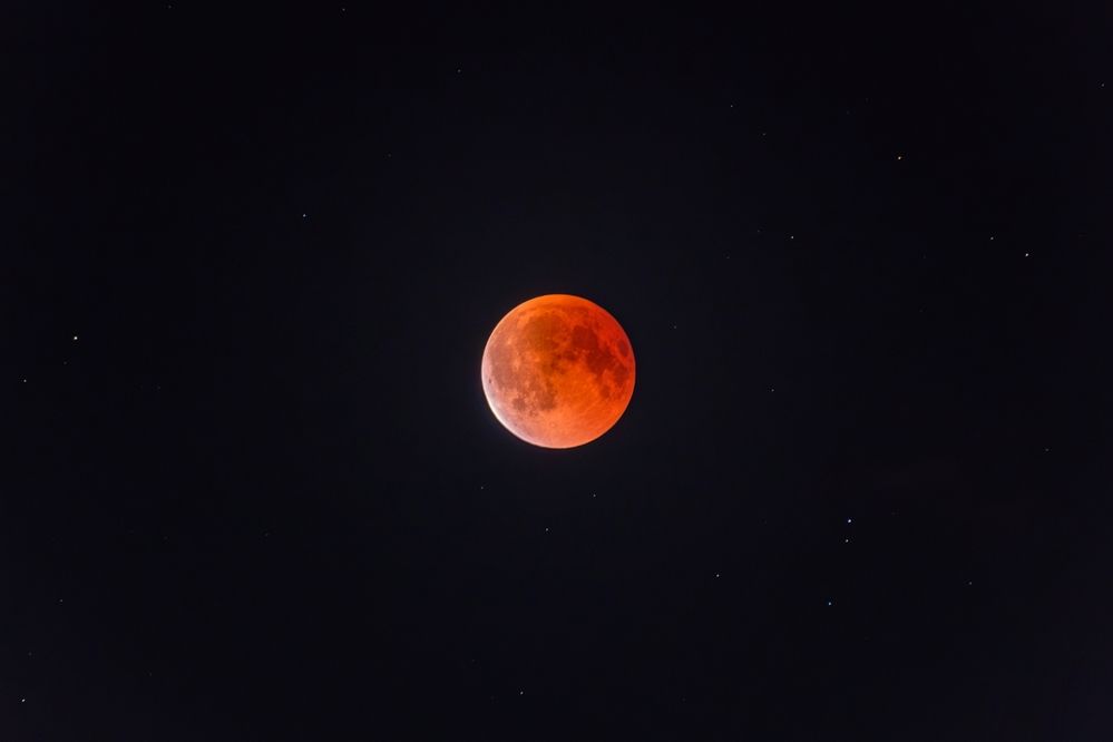 Photograph by Михаил Косолапов