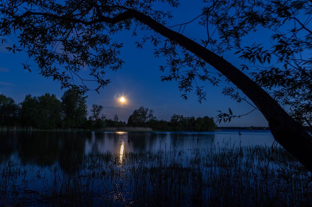 Photograph by Галина Юдина