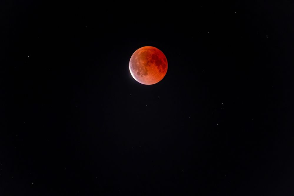Photograph by Михаил Косолапов
