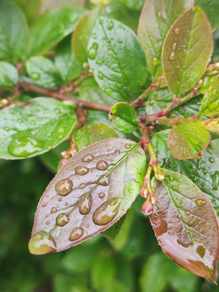 Photograph by Альбина