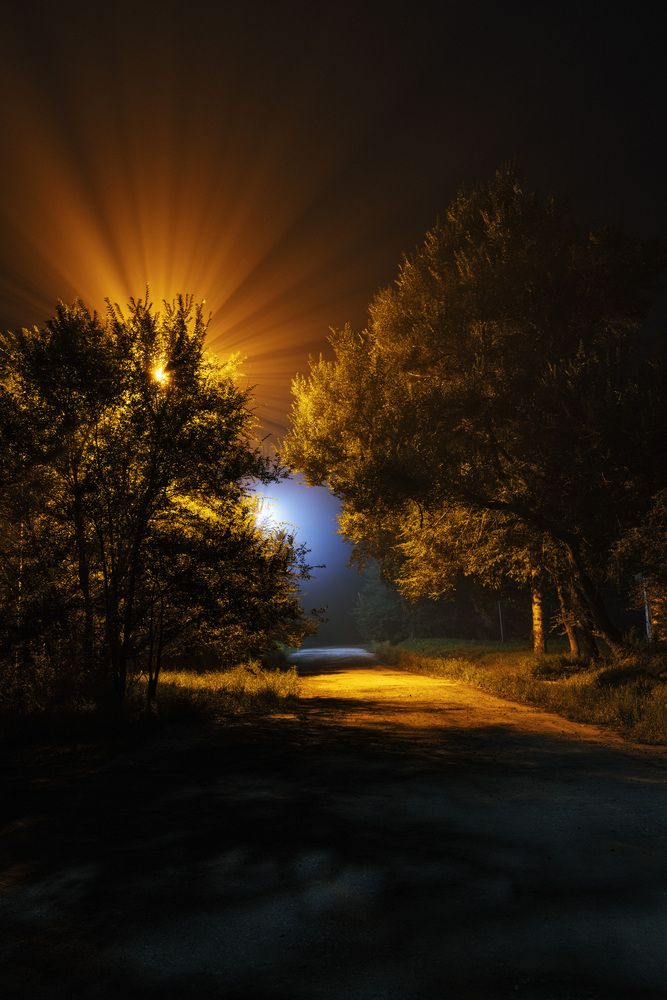 Фотография автора Мороз Олег