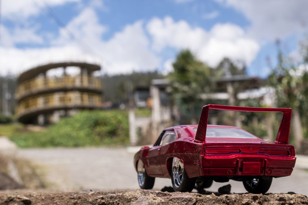 Photograph by Susie Castellano