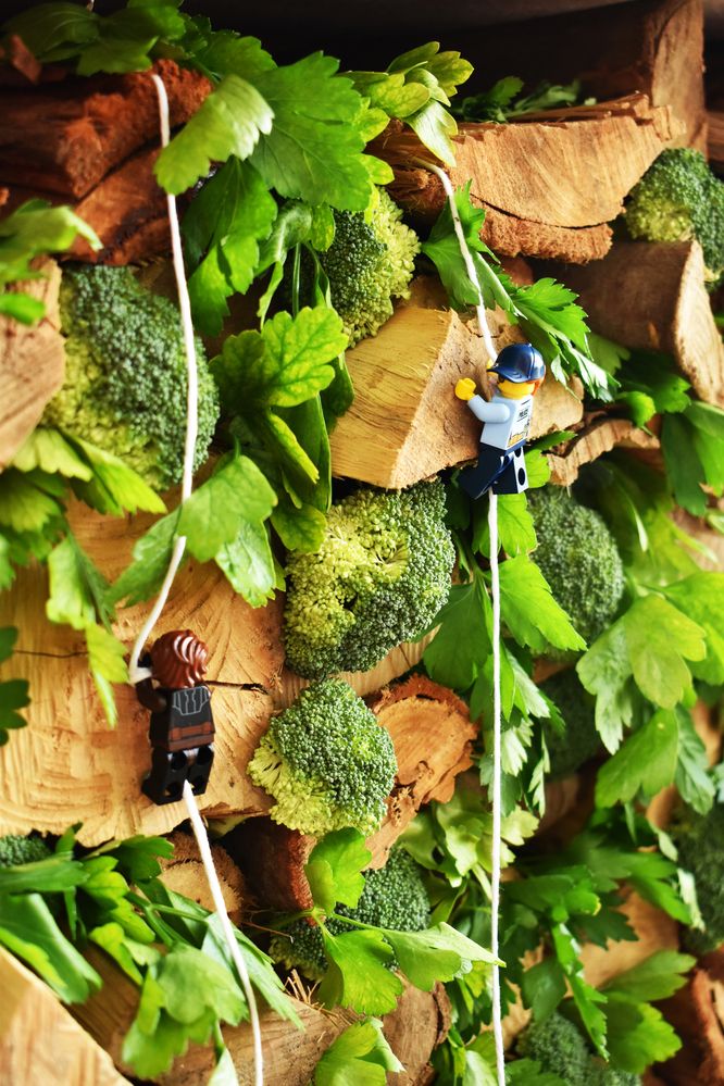 Photograph by Susie Castellano