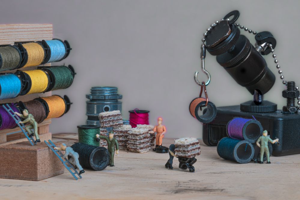 Photograph by Susie Castellano