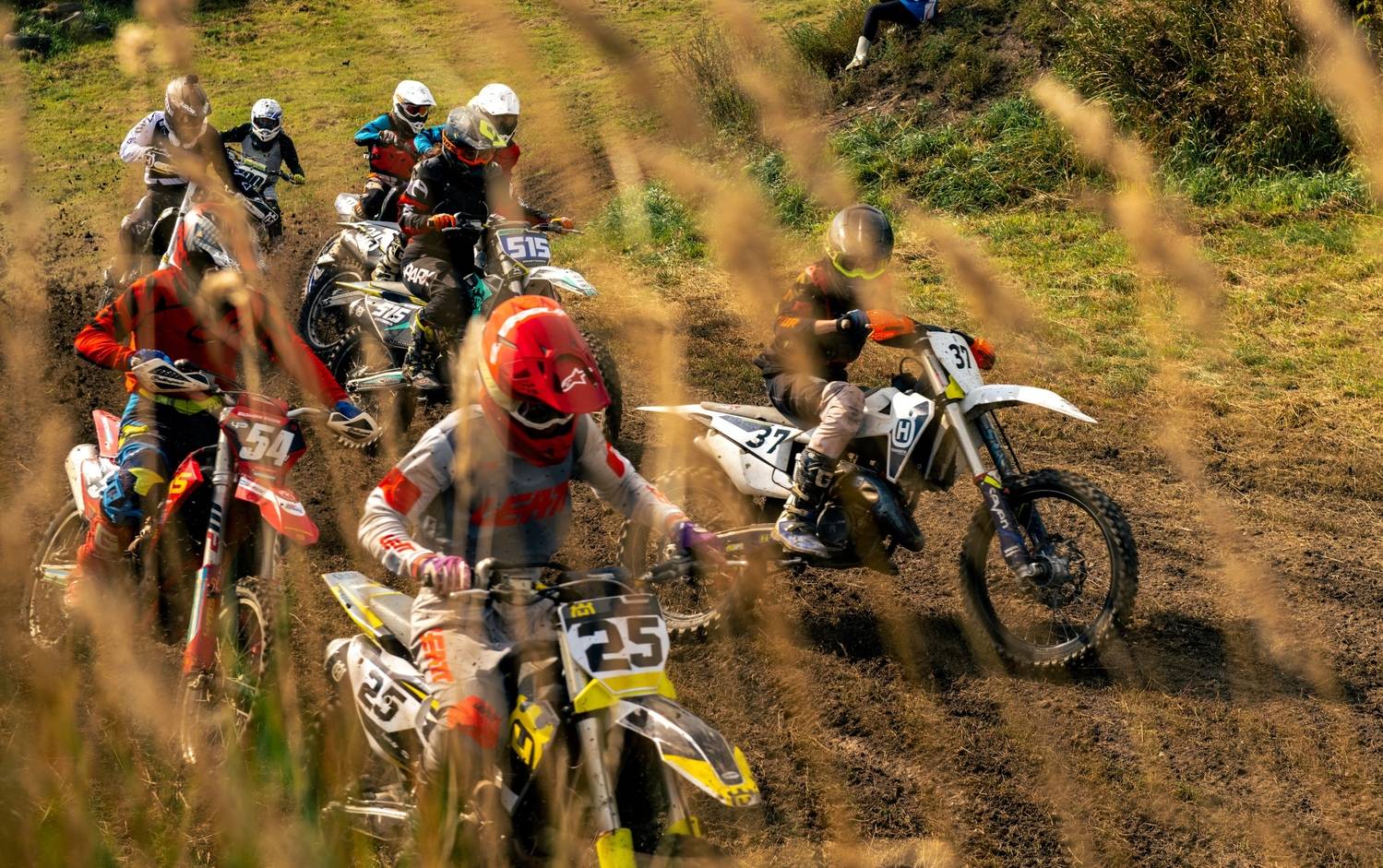 Фотография #12559875