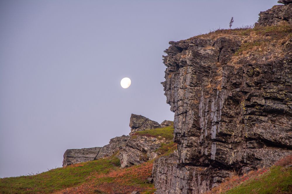 Photograph by Дмитрий Анисимов