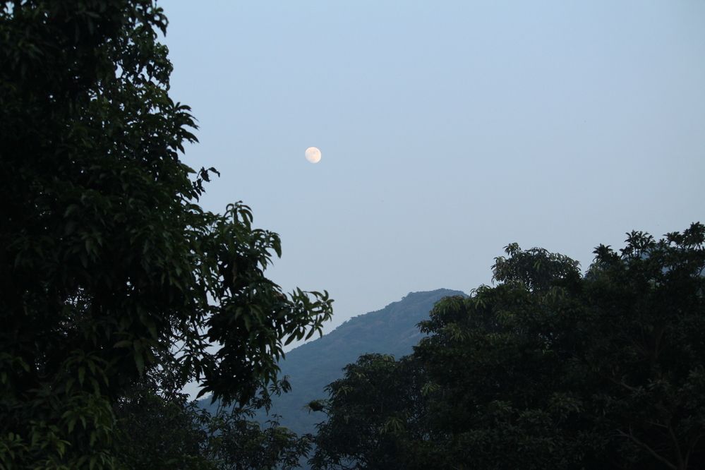 Photograph by Sharad vadoliya