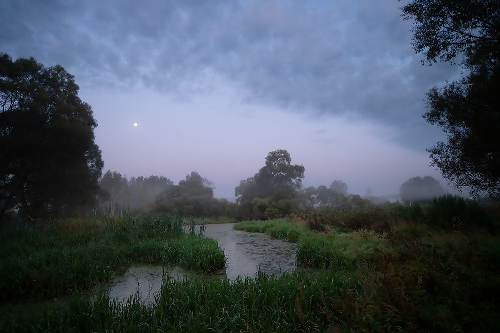 Photograph by Дмитрий Ткаченко