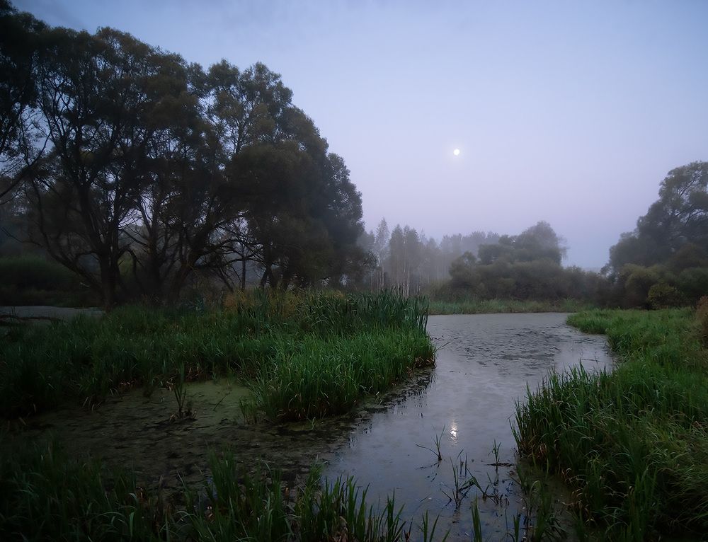 Photograph by Дмитрий Ткаченко