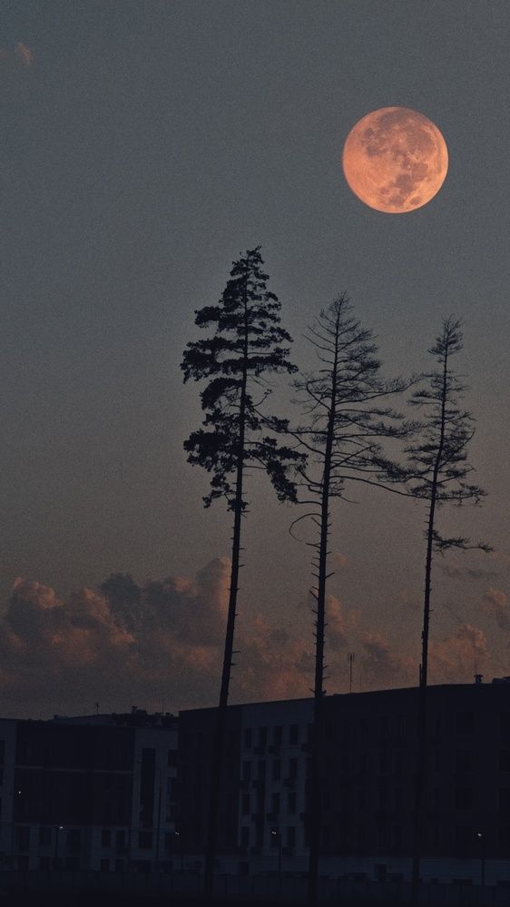 Photograph by Анна Ткаченко