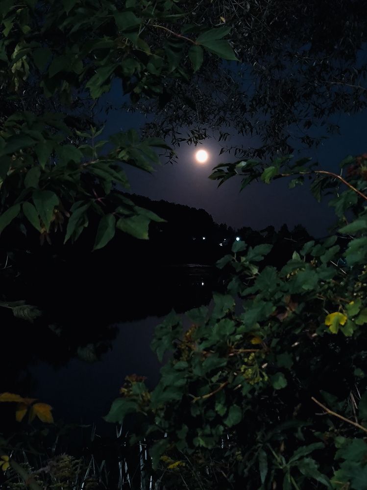 Photograph by Людмила Емельянчикова