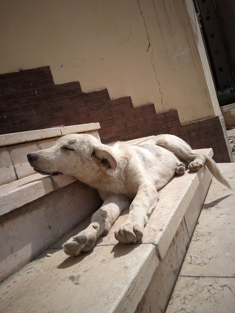 Serenity in the Midday Sun