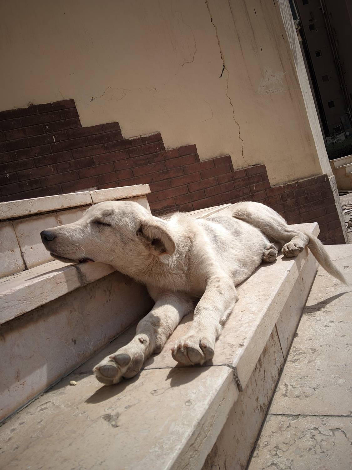 Serenity in the Midday Sun Serenity in the Midday Sun
