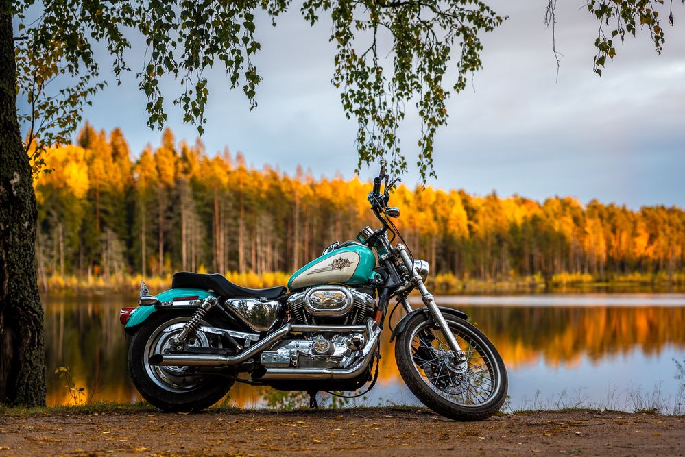 Photograph by Александр Зимовской