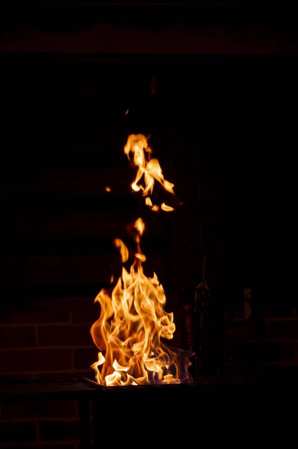 Photo #12560415