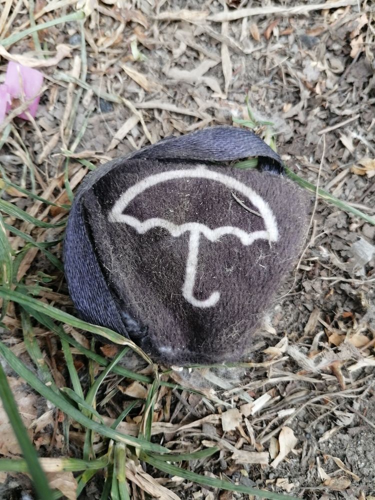 Photograph by Наталия