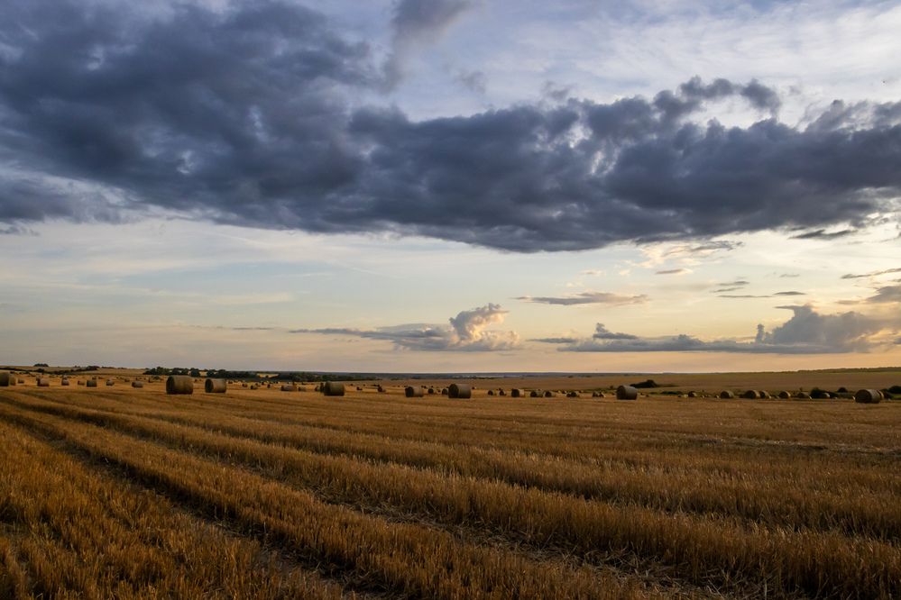 Photograph by Александр Голиков
