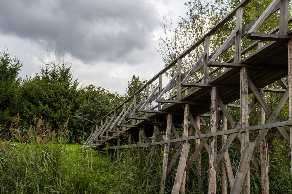 Photograph by Александр Голиков