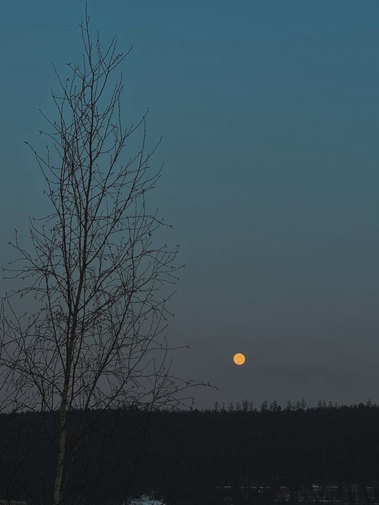 Фотография автора Анна Рыжикова