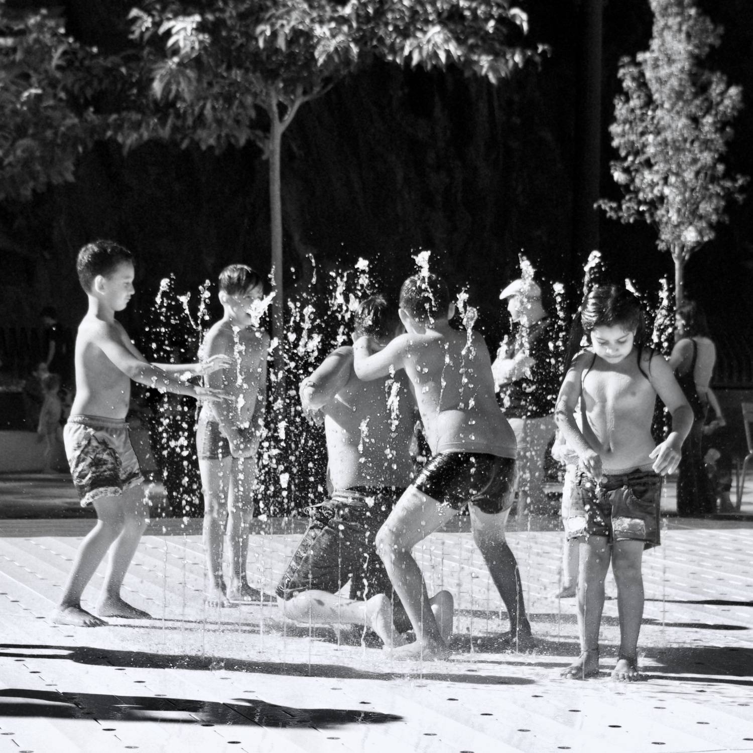 Photo #12560829