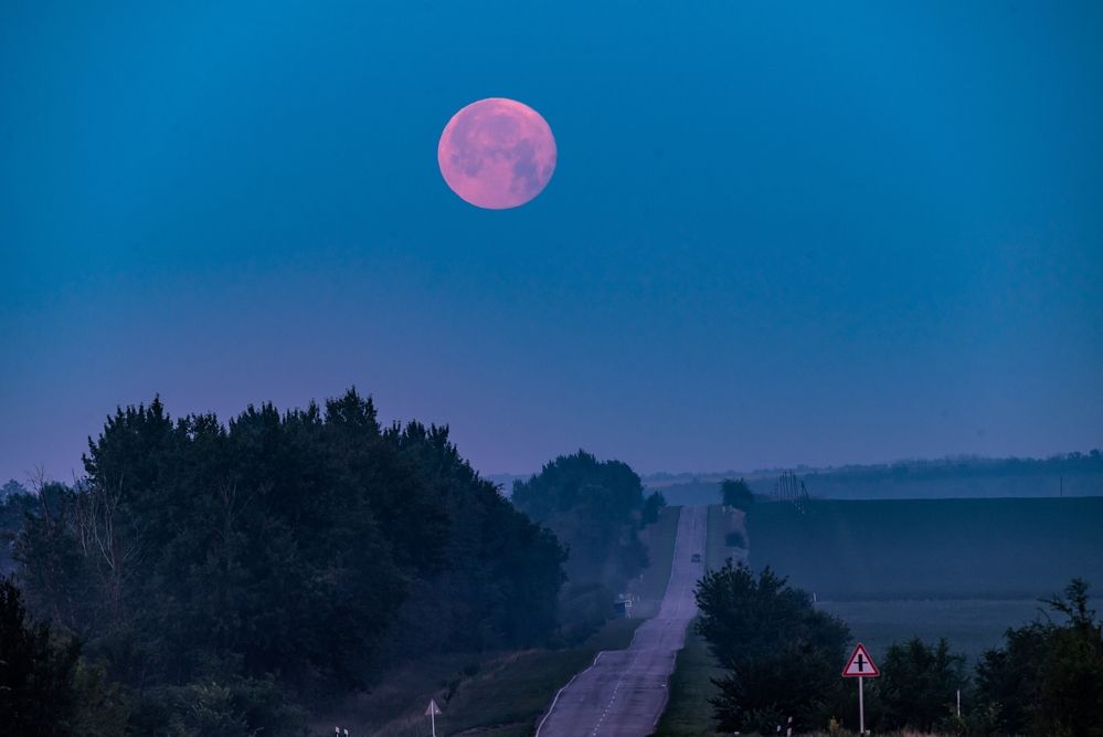 Photograph by Сергей Немцев