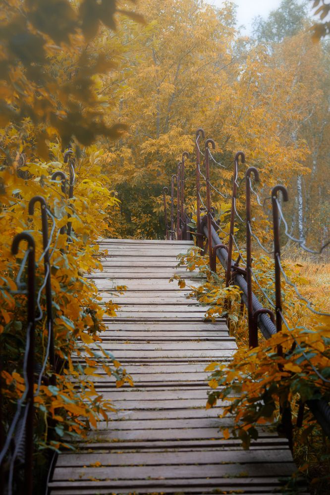 Фотография автора Васильев Игорь