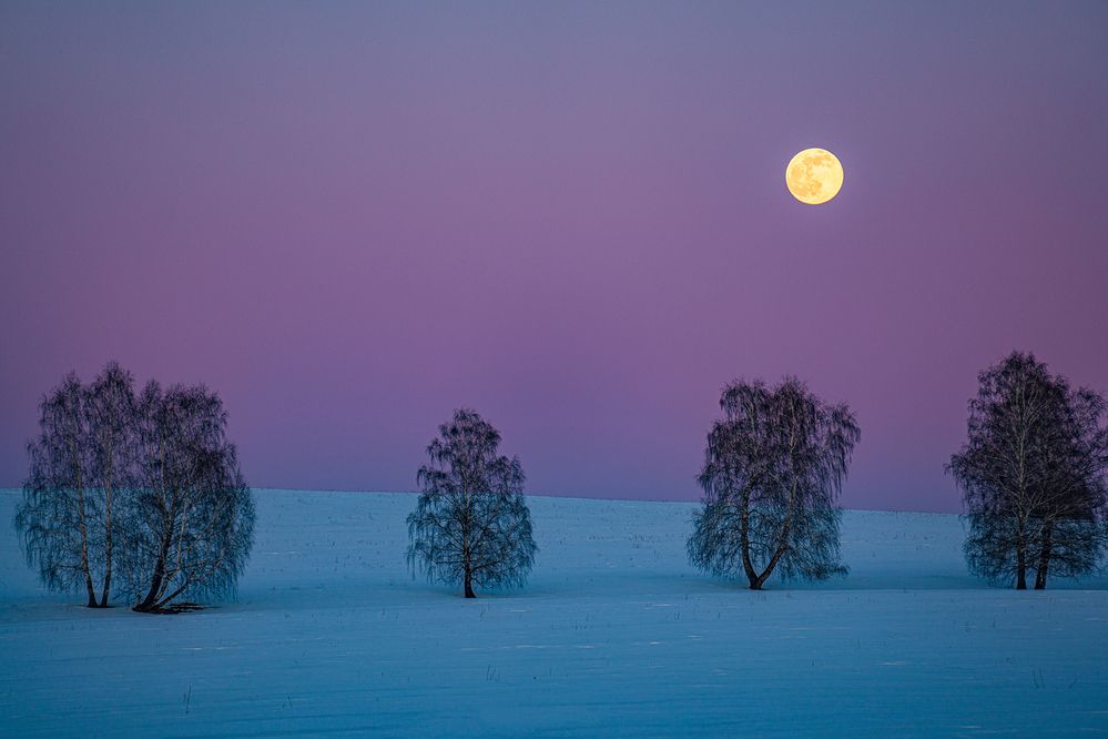 Photograph by Евгений Кармаев