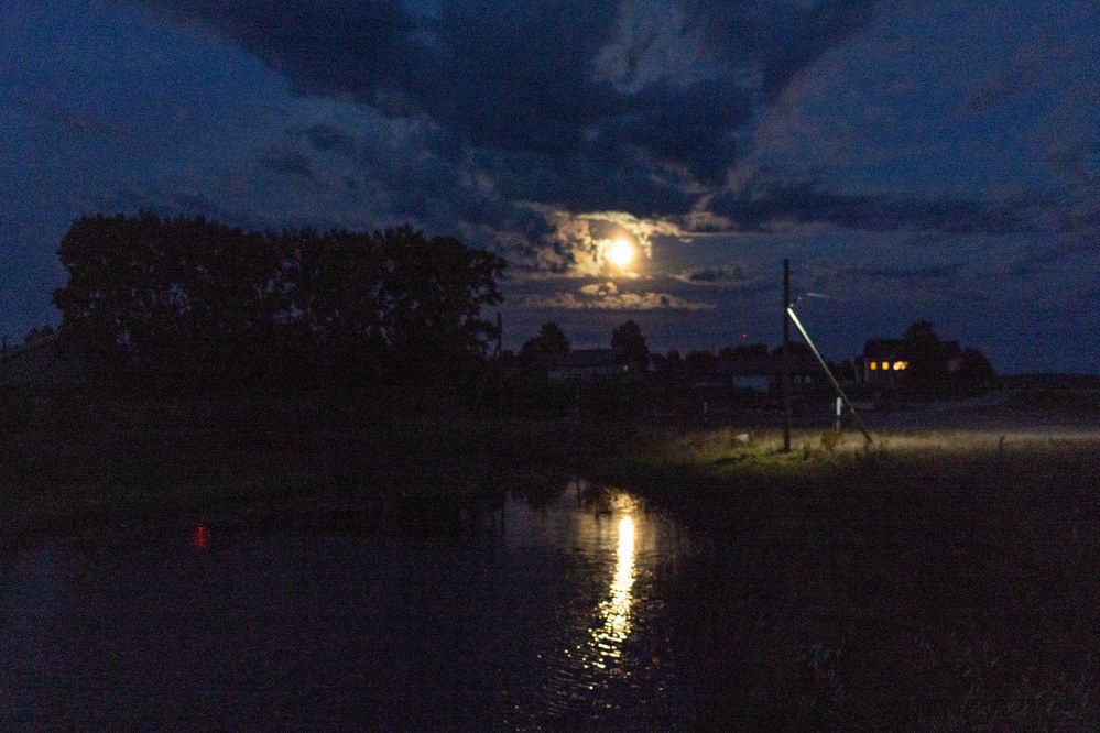 Photograph by Евгения Ковригина