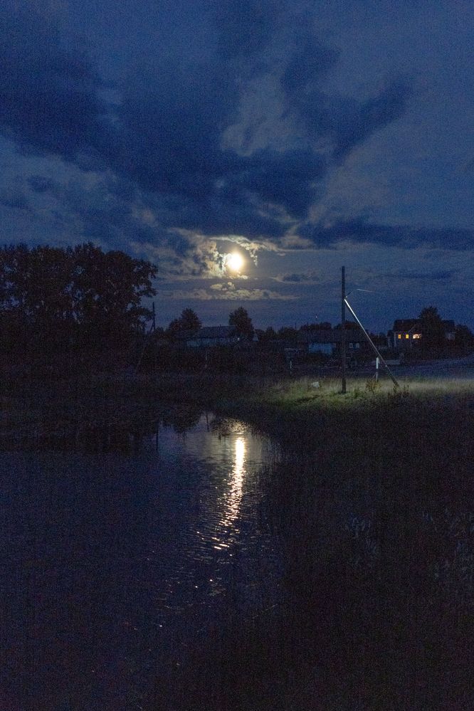 Photograph by Евгения Ковригина