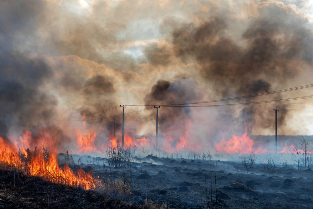 Photograph by Константин Тучин