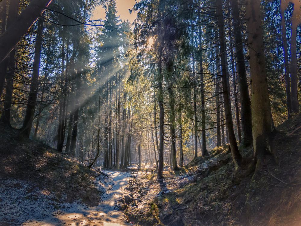 Фотография автора Цветков Сергей