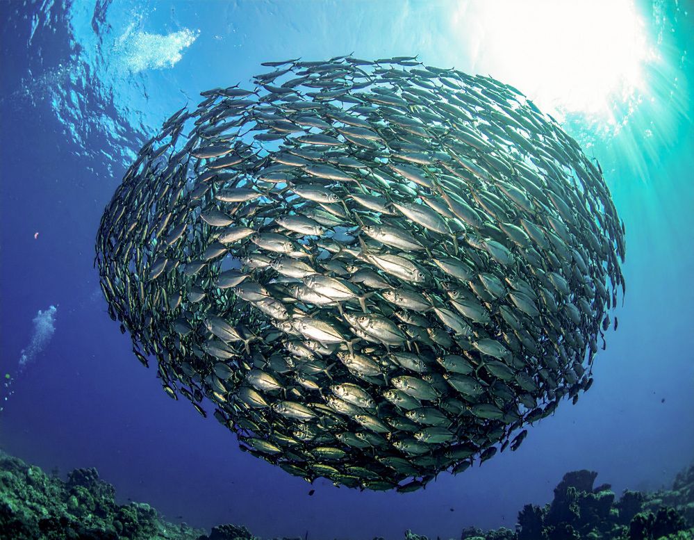 Photograph by esti lahat