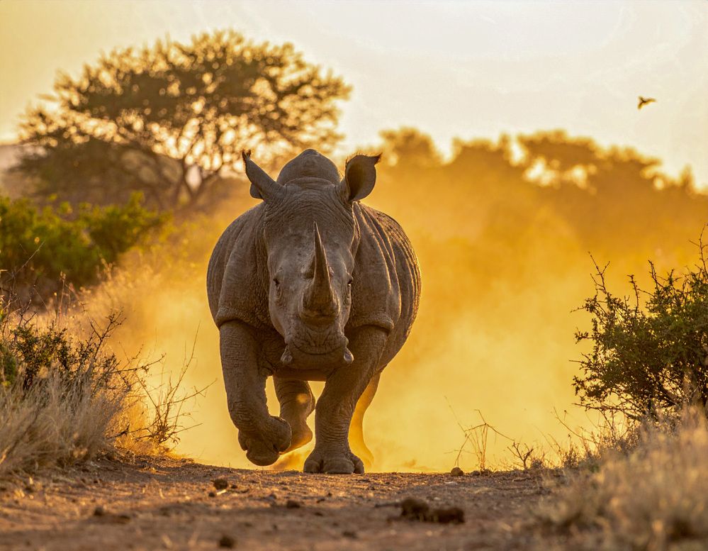 Photograph by esti lahat