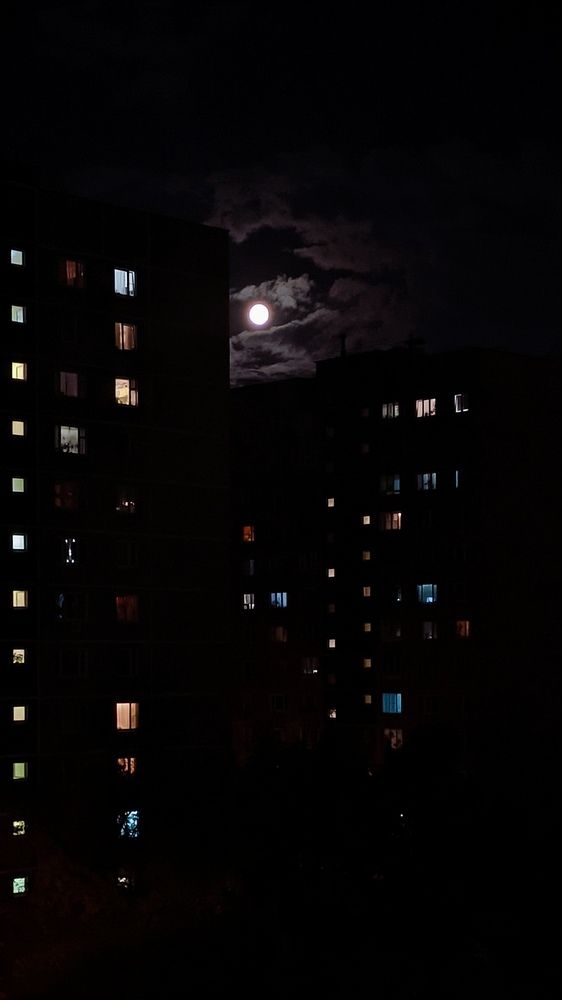 Фотография автора Васильева Ирина