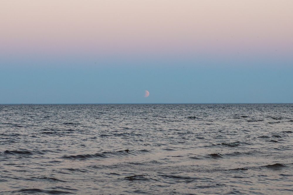 Photograph by Анастасия Ануфриева