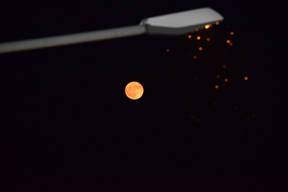 Фотография автора axilleas kampouris