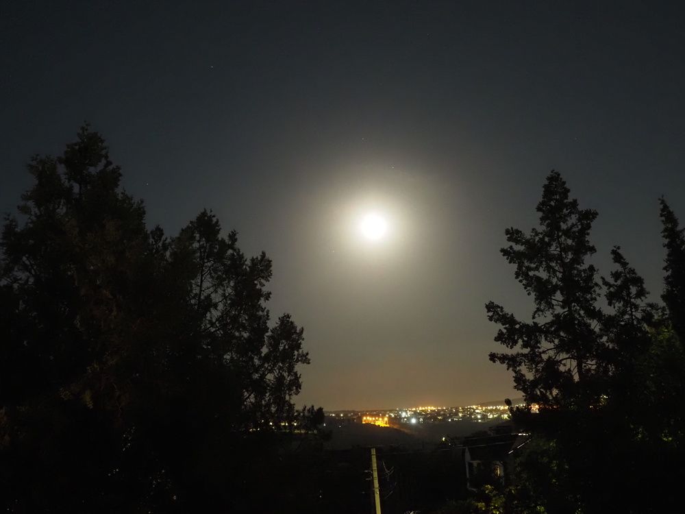 Photograph by Сергей Борисов