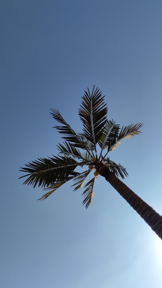 Photograph by Ксения Голубкова