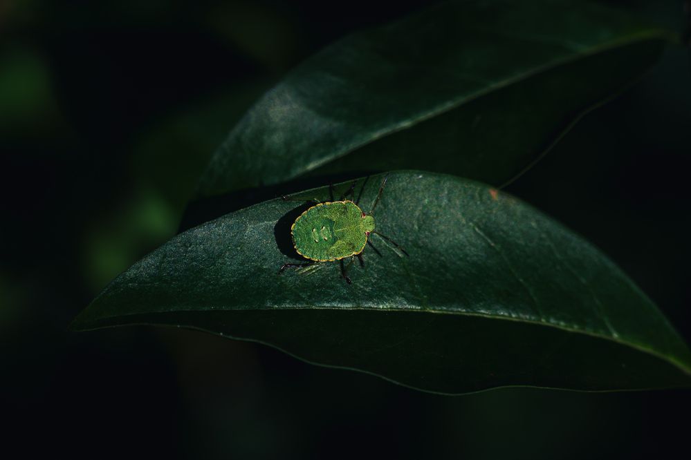 Photograph by Martin Popp