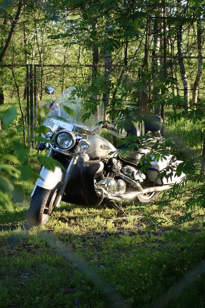 Photograph by Надежда Ткаченко