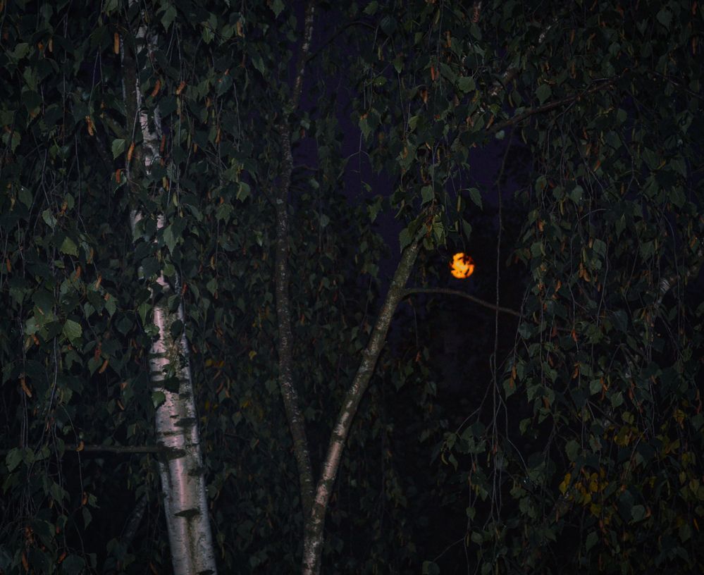 Photograph by Дайана